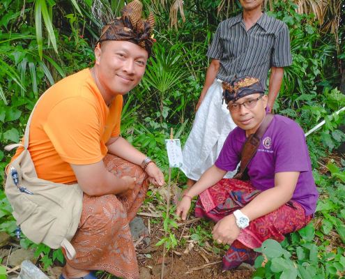 bali mandira tree planting program 2